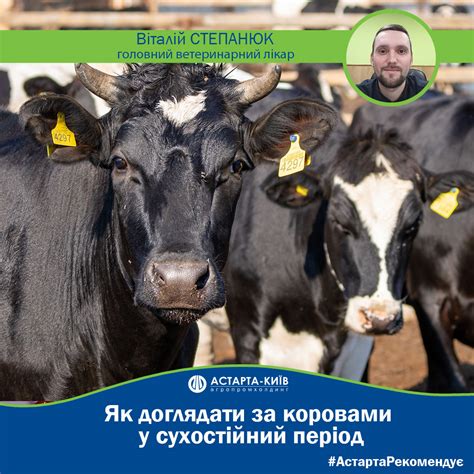 Astarta-Kyiv - #АстартаРекомендує #Сухостійнийперіод...