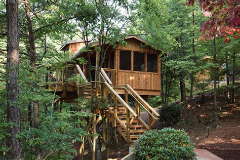 Mountain View Treehouses at Treehouse Grove - Nelson Treehouse