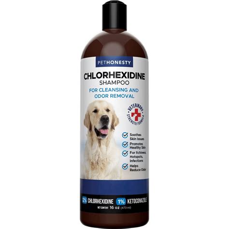 The Best Dog Shampoo for Itchy Skin - Finally Relief