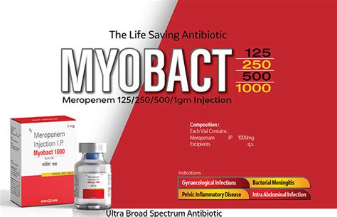 Meropenem 1gm Dry Injection Manufacturer Supplier Franchise