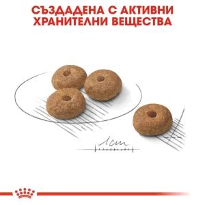 ROYAL CANIN MINI STERILISED на Цена от 17 92лв Lapichki bg