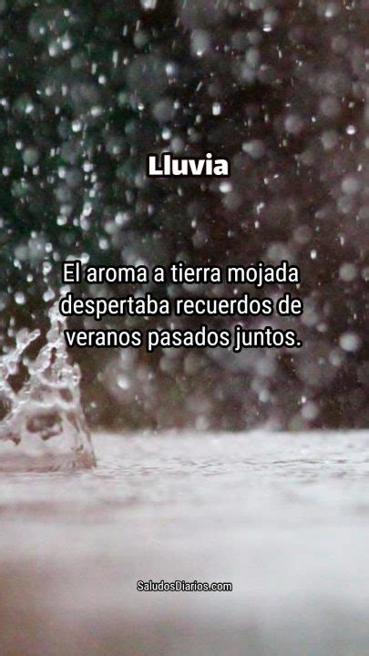 Tierra frase Lluvia bonitas Vida mensajes Imágenes Saludos Diarios