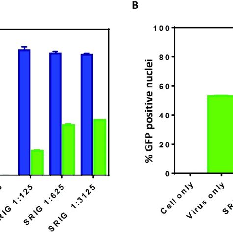 Quantification Of Dapi And Gfp Positive Cells By Htnt Bsr Cells Were