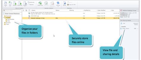 Mind Mapping Information Visualization Blog Mindmanager