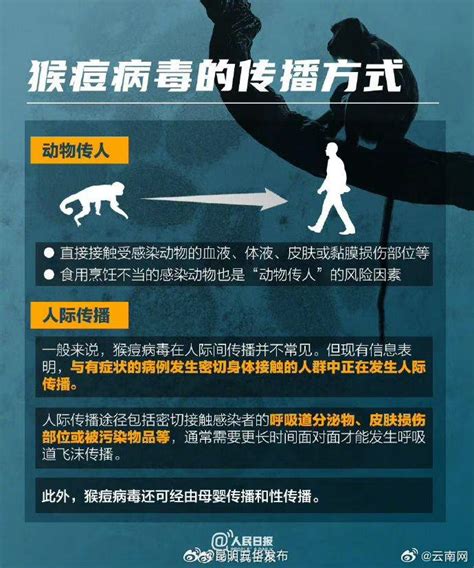 猴痘病毒是怎么感染的一组图了解猴痘病毒 猴痘 病毒 自限性 新浪新闻