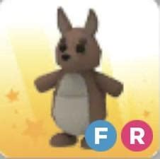 trading fully grown fly ride kangaroo radoptmerbx