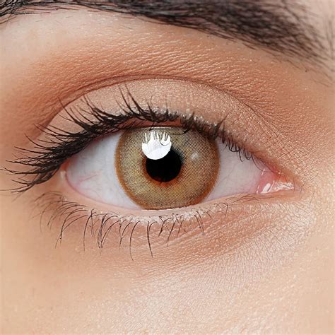 Lentilles De Contact De Couleur Marron Sans Correction Lentilles