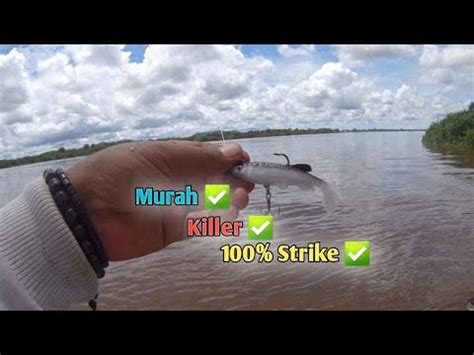 Umpan Murah Meriah Soft Lure Killer Untuk Casting Ikan Lais Tembiring