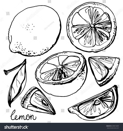 202,743 Lemon Black White Images, Stock Photos & Vectors | Shutterstock