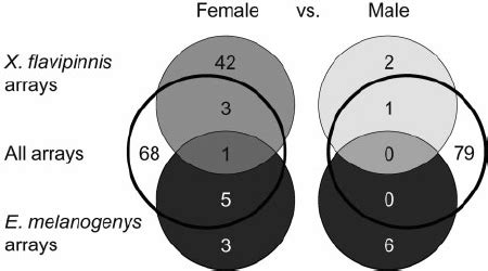 Venn Diagram For Sex Specific Gene Expression In Each Species The Full