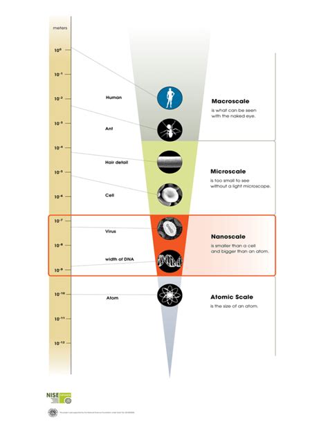 scale  measurement macro  atomic