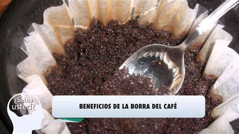 Beneficios De La Borra Del Caf Youtube