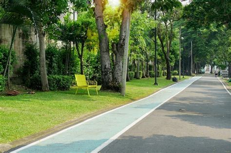 Pasarelas Y Ciclov As En El Carril Bici Del Parque Foto Premium