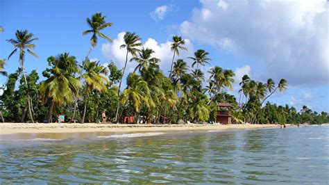 Plage De Grande Anse Des Salines Belle Martinique