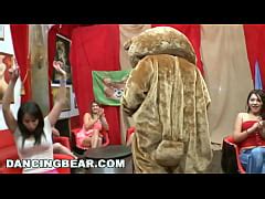 Dancing Bear Male Strippers Slinging Dick In The Direction Of Horny Bitches Xxx Mobile Porno