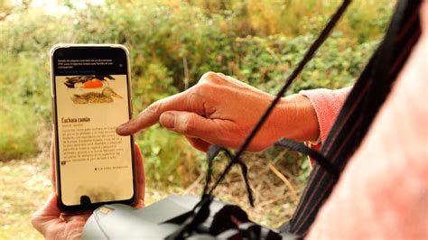 Participa en el BioBlitz que haremos el 11 de mayo en Doñana WWF España