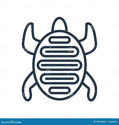 Vector Del Icono De La Tortuga Aislado En El Fondo Blanco Muestra De