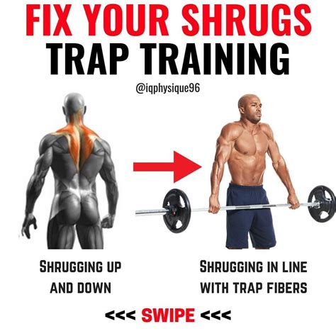 Your traps are one of the most important muscles to grow to look ...