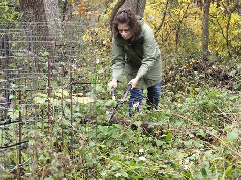 Baldpate habitat restoration project | Sourland Conservancy