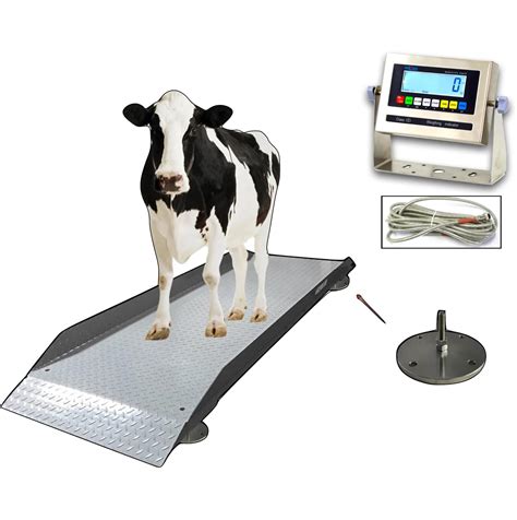 Selleton Sl 929 Livestock And Cattle Alleyway Scale Animal