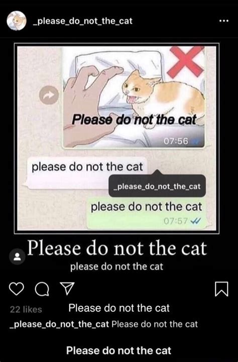 Please Do Not The Cat Not The Eat Please Do Not The Cat Please Do Not