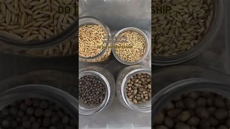 lev og laer pa okologiske garder wwoof norway