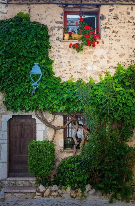 My Inner Landscape Photo Saint Paul De Vence Ornamental Plants