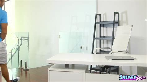 Sneaky Sex Adult DVD Empire