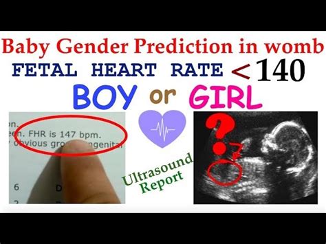 Heart Rate Of Baby Boy Or Girl During Pregnancy Baby Viewer