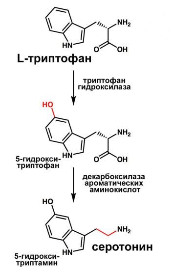 Презентация на тему: Серотонин.
