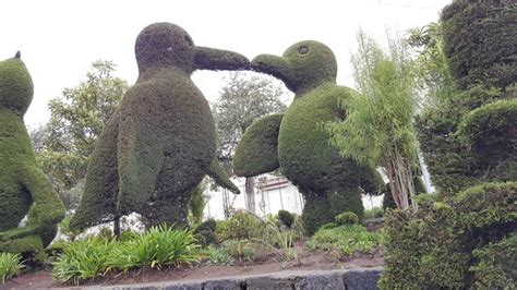 Parque Juan Benigno Vela Ambato Lo Que Se Debe Saber Antes De