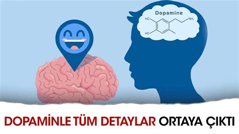 Dopamin nedir Eksikliğinin zararları nelerdir Ne işe yarar ve Dopamin