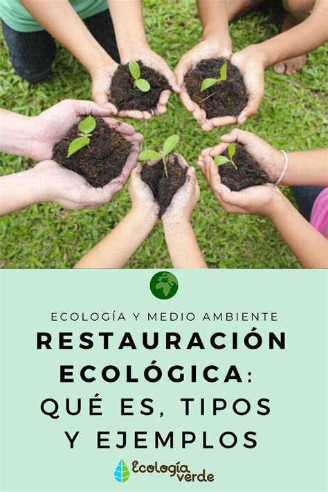 Restauraci N Ecol Gica Qu Es Tipos Y Ejemplos Injertos De Plantas