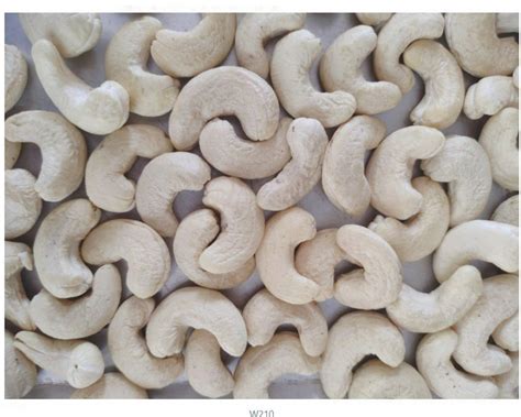 W210 Whole Cashews 5 Kg At Rs 950 Kg In Chennai ID 26325306733