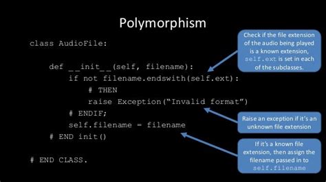 Python: Polymorphism