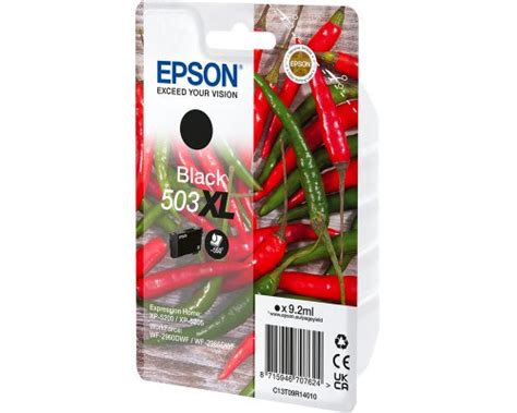 Epson Original Tinte Schwarz