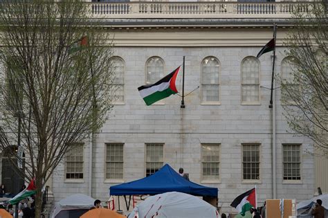 Encampment Protesters Briefly Raise 3 Palestinian Flags Over Harvard Yard | News | The Harvard ...