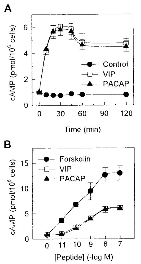 VIP And PACAP Increase Intracellular CAMP Levels Peritoneal