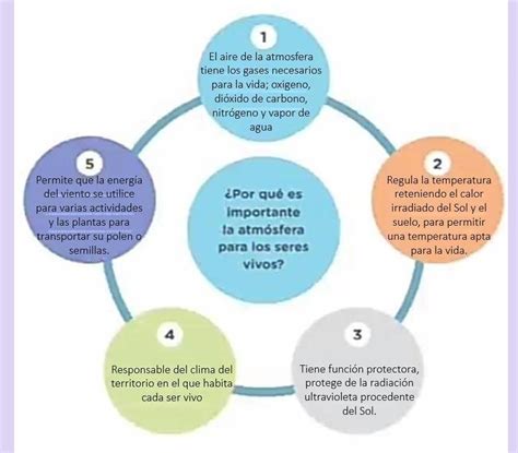 Elaborar Un Organizador Visual Para Explicar Por Qu Es Importante La