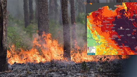 Pożary w lasach Ściółka przypomina suchy papier Wschód Polski z