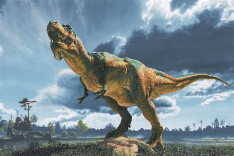 Tyrannosaurus Rex | Wild America Wiki | Fandom