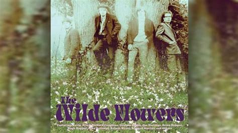 The Wilde Flowers album set for reissue | Louder