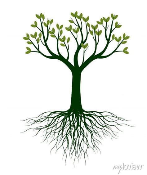 Green Spring Tree With Roots Vector Outline Illustration Plant