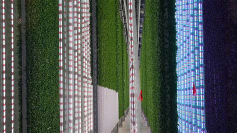 Vertical Farms Expand as Demand for Year-Round Produce Grows - The New ...