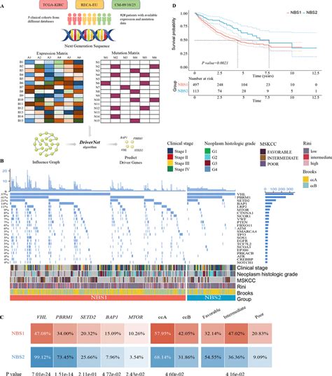 Identifying Driver Genes And Subclass Characteristics In Clear Cell