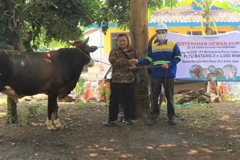 PLTU Batang PT BPI Sumbangkan Hewan Kurban Kepada 12 Desa Di Sekitarnya