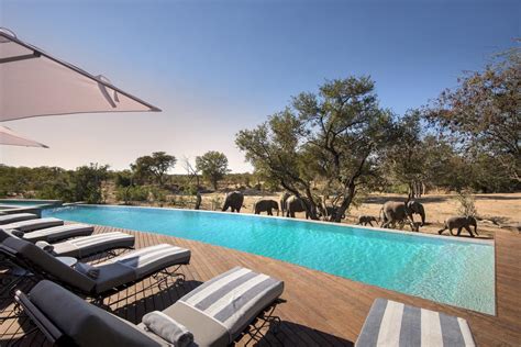 andBeyond Ngala Safari Lodge, Kruger National Park, South Africa - 2025 ...