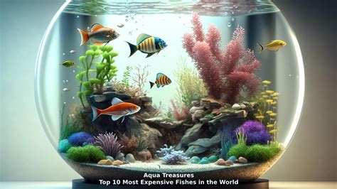 Aqua Treasures Top 10 Most Expensive Fishes In The World Enterprise