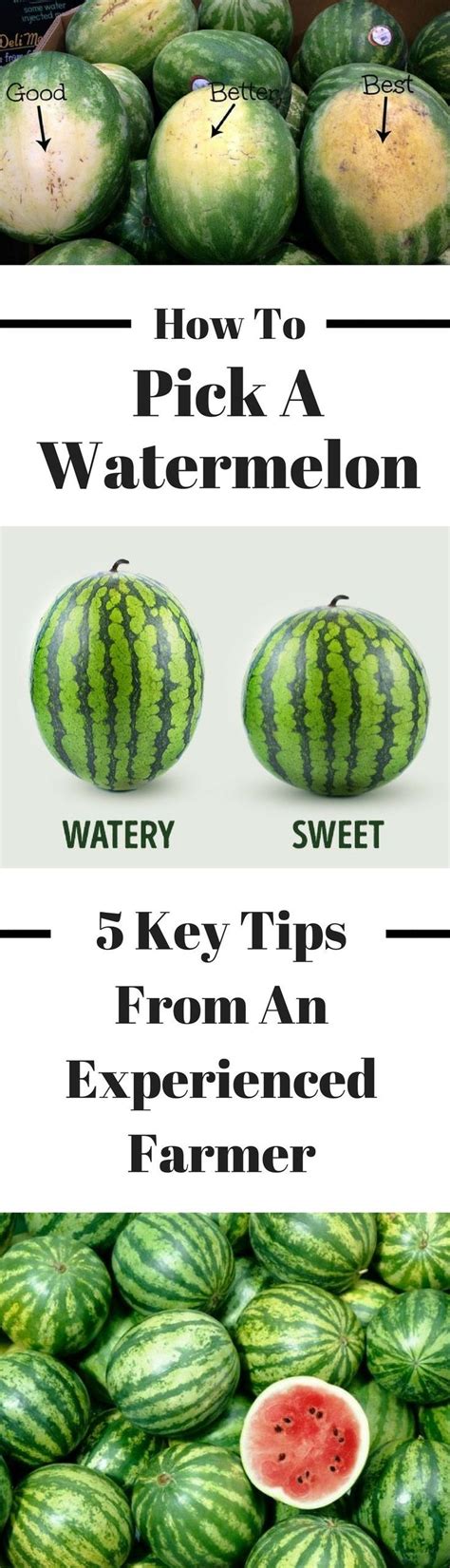 Here S How To Pick A Watermelon Follow These Great Tips From An