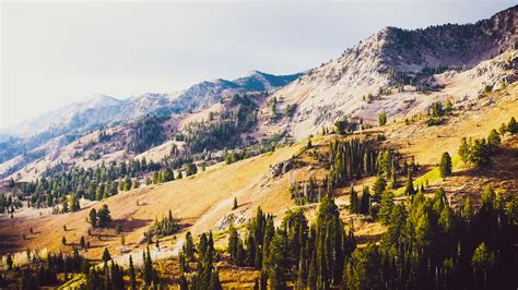 Home-Public | Wasatch Peaks Ranch